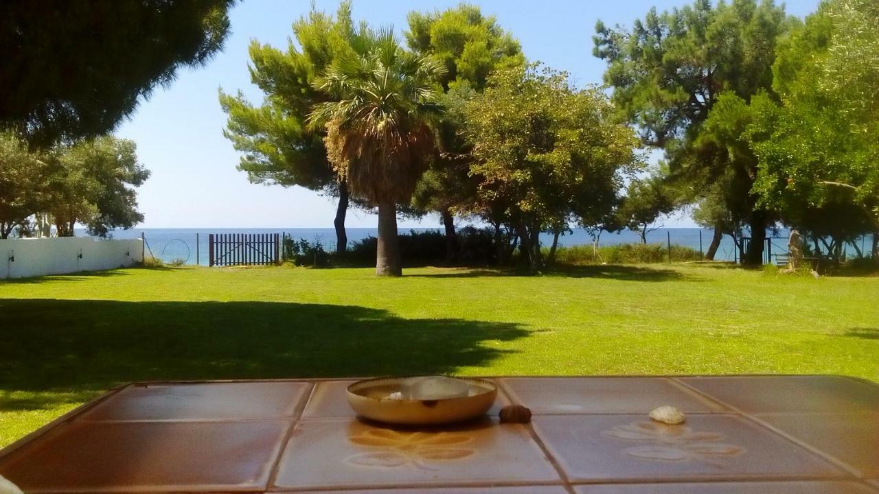 ניאה סקיוני Seafront Villa Joan מראה חיצוני תמונה