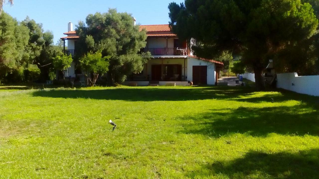 ניאה סקיוני Seafront Villa Joan מראה חיצוני תמונה